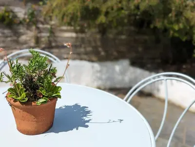 a potted plant sitting on top of a white table at Stable Cottage in Delabole