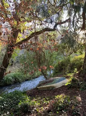 a boat sitting in the middle of a river at Tresillian Lodge Waterfront, Forest, Hot tub,Sauna in Truro
