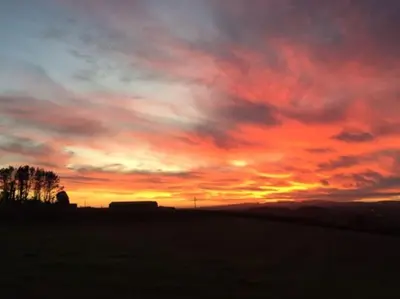 a sunset in a field with a bus in the distance at Hawkers Padstow in Padstow