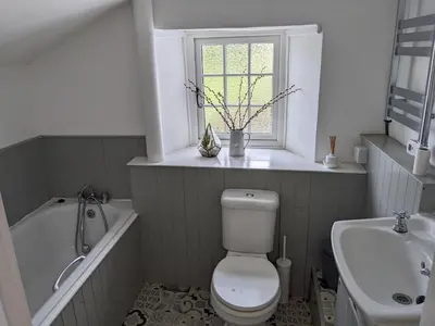 a bathroom with a toilet and a tub and a sink at Foxglove Cottage in Launceston