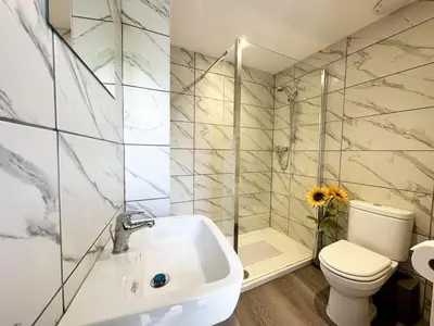 a bathroom with a sink and a toilet and a shower at The Cottage Annex in Newquay