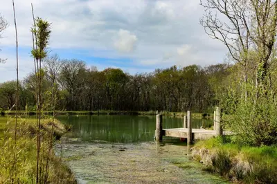 a bridge over a body of water with trees at Wheal Kitty nr Truro in Truro