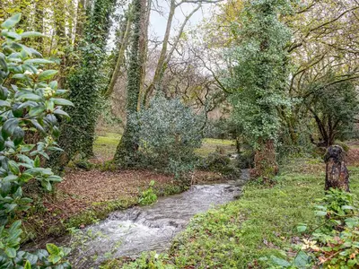 a stream in the middle of a forest with trees at Hallowarren Barn in Saint Anthony