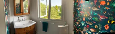 a bathroom with a sink and a window and a shower curtain at Silverspring Farm En suite in Constantine