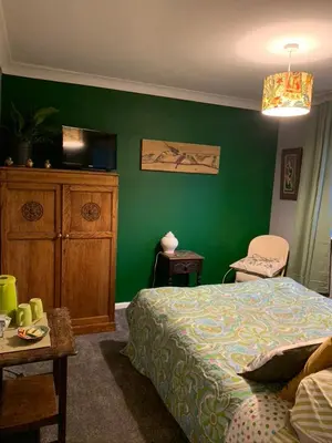 a bedroom with green walls and a bed and a table at Silverspring Farm En suite in Constantine