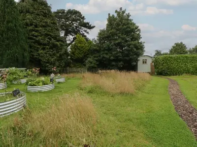 a garden with several white benches in the grass at Flora's Hut in Liskeard