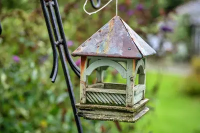 a bird feeder hanging from a pole at Finest Retreats - Skylarks in Boscastle
