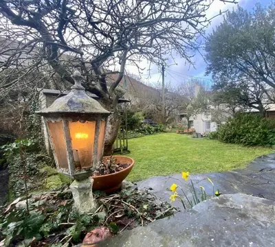 a street light in a garden with a tree at Brook Cottage is a traditional fisherman's cottage in Port Isaac
