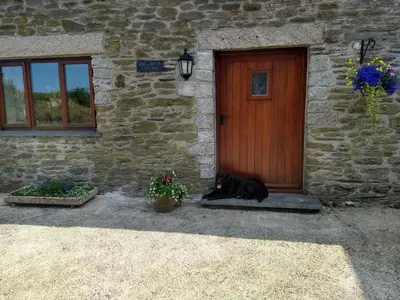 a black dog laying in front of a door at Fentrigan Manor Farm & Holiday Cottages in Bude