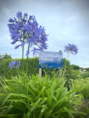 a blue sign in a garden with purple flowers at Stones Throw Lodge in Padstow
