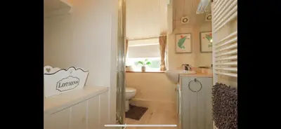 a bathroom with a toilet and a sink at Meadowside Cottage, Characterful Grade 2 Listed Cottage near to Wadebridge and Padstow in Wadebridge