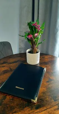 a black laptop on a wooden table with a potted plant at Poldice Valley Apartments in Chacewater