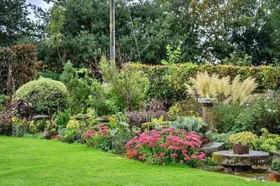 a garden with many different types of plants and flowers at Finest Retreats - The Shippon at Lestitha in Liskeard