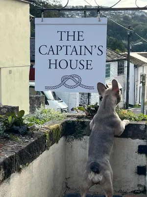 a dog standing on a wall in front of a sign at The Captain's House in Looe
