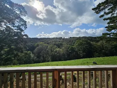 a view of a field from a wooden deck at Valley View Lodges in Liskeard