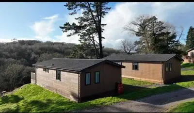 a tiny house on a grassy hill with trees at Valley View Lodges in Liskeard
