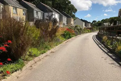 a street with houses and flowers on the side of a road at Stream Side in Budock Water