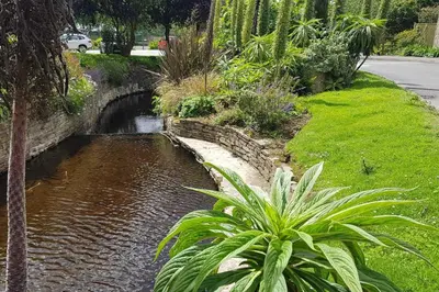 a small pond in a garden with plants at Stream Side in Budock Water