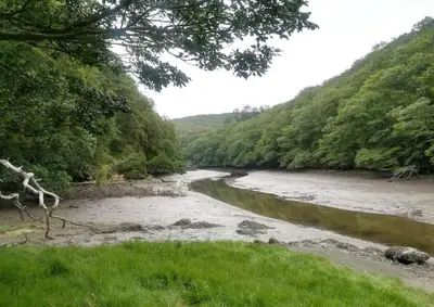 a river with grass and trees on the side at Chy Bownder Cottage in Lostwithiel