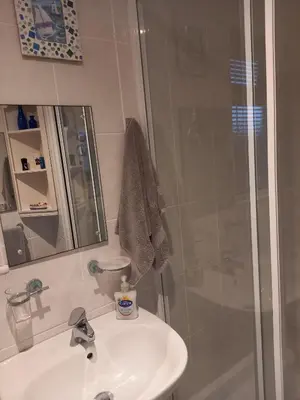 a bathroom with a sink and a shower at Self Contained Garden Annexe in Bodmin in Bodmin