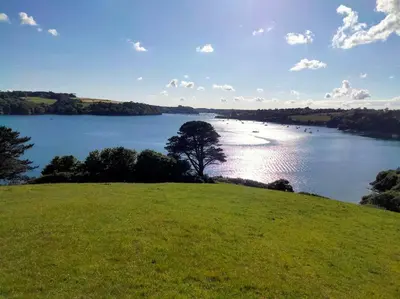 a view of a lake with a tree on a hill at Modern cosy apartment walking distance to many cove beaches and coast path walks as well as the famous Helford river in Falmouth