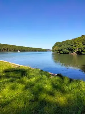a body of water with grass and trees in the background at Modern cosy apartment walking distance to many cove beaches and coast path walks as well as the famous Helford river in Falmouth