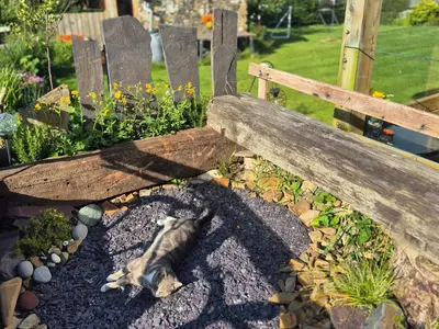 a dog laying on the ground next to a bench at Little Swelle Cabin with awesome Sea views in Poundstock