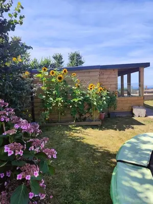 a garden with sunflowers and a wooden fence at Little Swelle Cabin with awesome Sea views in Poundstock
