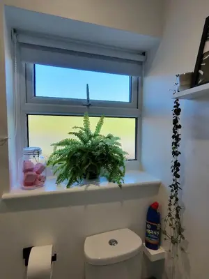 a bathroom with a toilet and a window with a plant at Nook Cottage Seaside Charm & Countryside Calm in Newquay