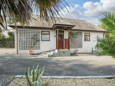 a white house with a palm tree in front of it at Little Trevallan in Looe