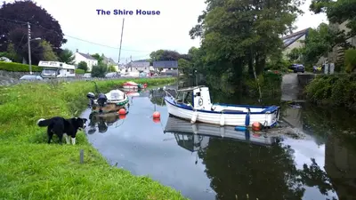 a dog standing next to some boats on a river at Quay Street in Lostwithiel