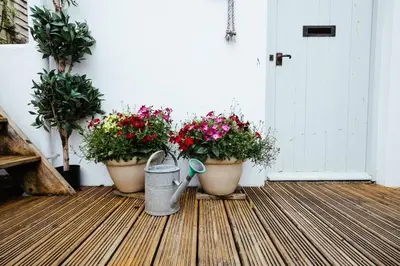 a porch with three potted plants and a bucket of flowers at Roses Cottage in Porthscatho