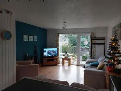 a living room with a christmas tree and a television at 78 Atlantic Reach in Newquay