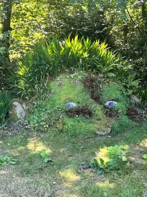 a garden with a circle of grass and plants at The Hive in St Austell