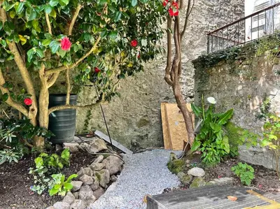 a garden with a tree and a stone wall at The Hive in St Austell