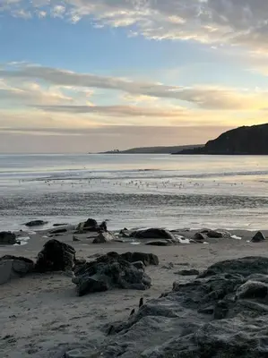 a beach with rocks and birds in the water at The Hive in St Austell