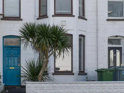 a palm tree in front of a building with a blue door at Crantock House in Newquay