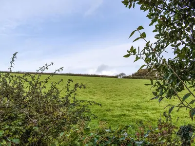 a field of green grass with at Field View in St Austell