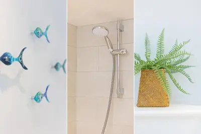 a bathroom with a shower and a plant on a tub at 20 The Warren in St Ives