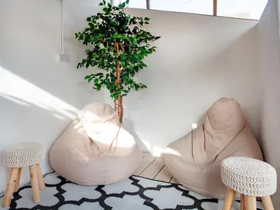 a living room with two chairs and a tree at Harlequin Cottage in St Austell