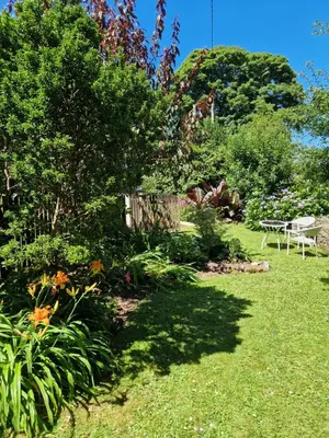 a garden with a tree and a bench in the grass at Primrose Cottage in Helston