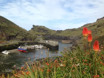 a group of boats in a body of water at Harbour Light in Boscastle