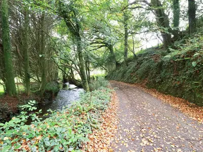 a dirt road in a forest with leaves on the ground at Mill Cottage in Liskeard