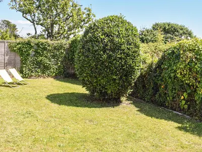 two large bushes in a yard with a fence at Top Deck - Cottage in Gorran Haven