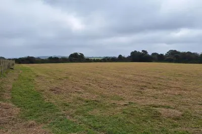 an open field with trees in the background at Rural Cornish Cottage in Truro