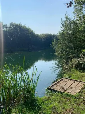 a small river with a wooden dock in the grass at Hengar Manor 4 bed Sleeps 9 in Saint Tudy