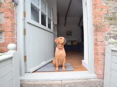 a brown dog sitting in the doorway of a door at 2 Bed in Wadebridge oc-82682 in Little Petherick