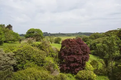 an overhead view of a lush green field with trees at Catchfrench Manor in Sheviock