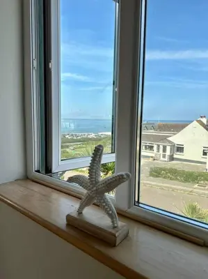 a window with a lizard statue sitting on a window sill at The Surf House (Widemouth Bay) in Bude