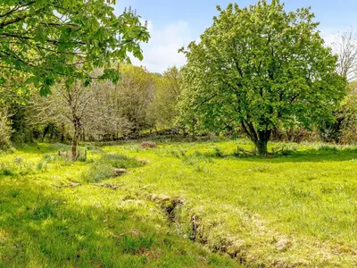 a field of grass with trees in the background at 2 Bed in St. Austell oc-79594 in Saint Stephen